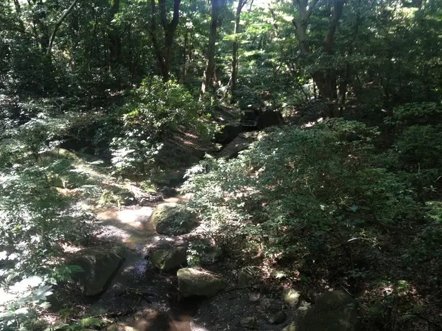 Meiji Shrine brook