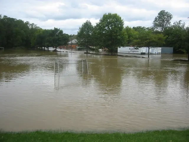 the flood, 2004, img_1844