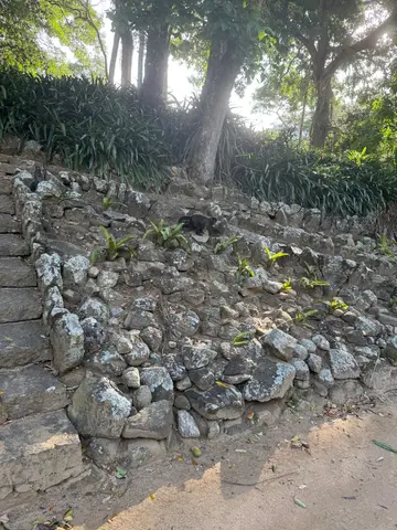 the Botanical Garden in Rio