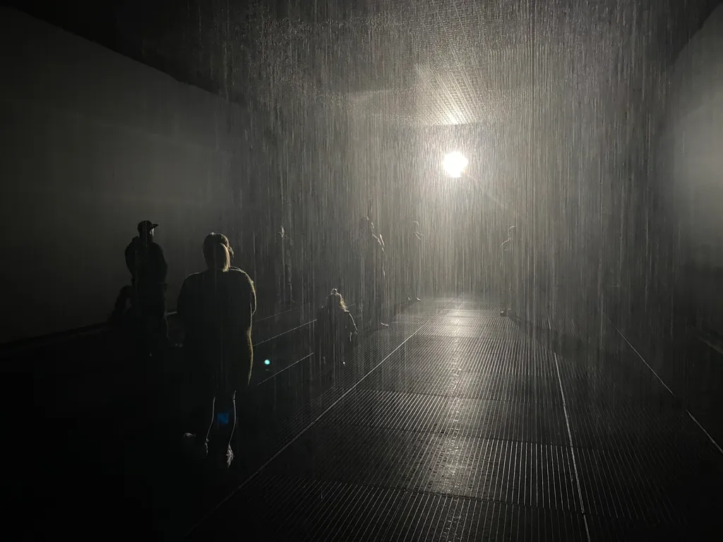 the rain room