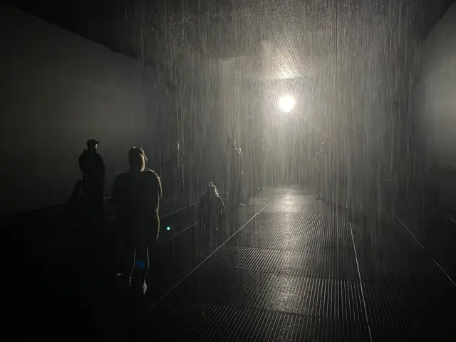 the rain room