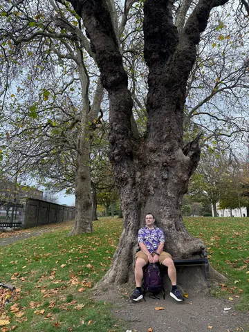the hungry tree