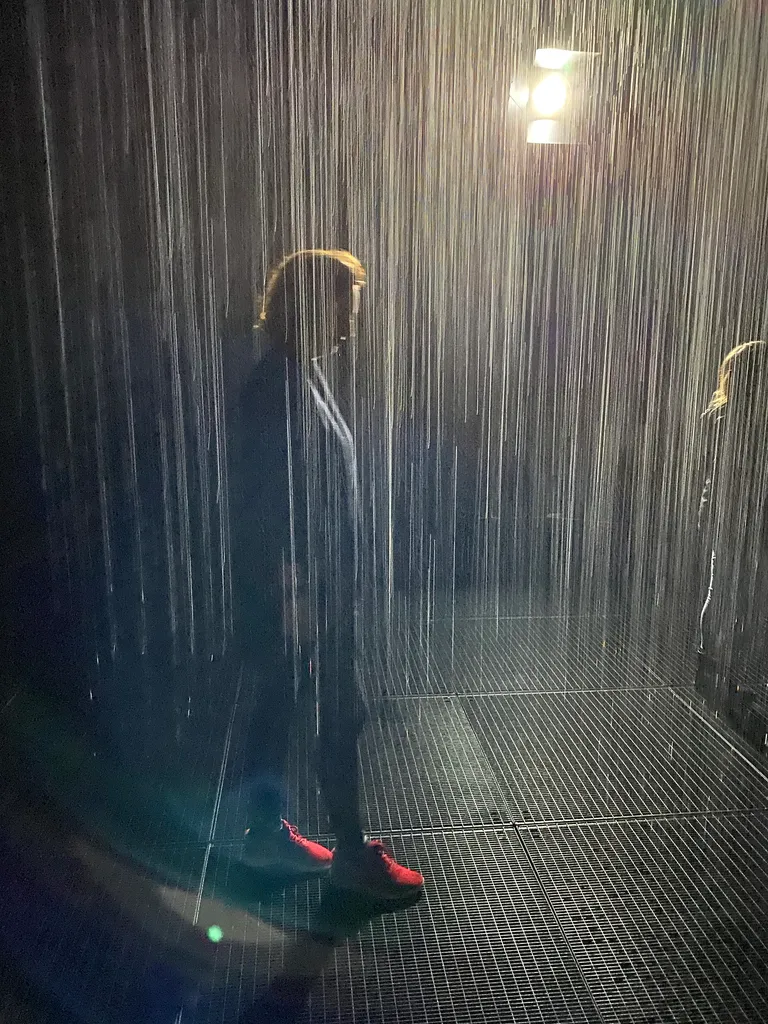 the rain room