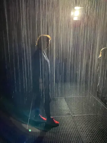 the rain room