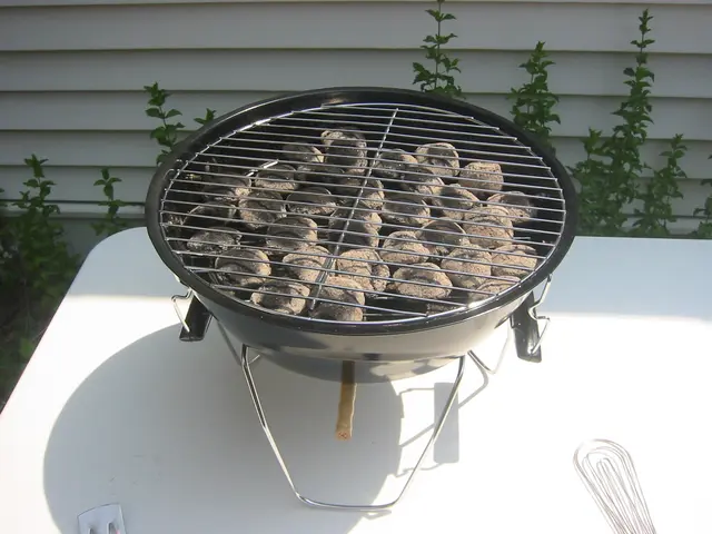 july 4th, our tiny grill