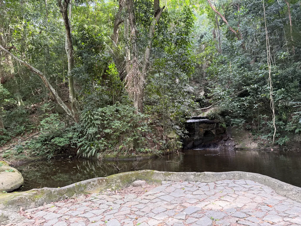 Parque Lage