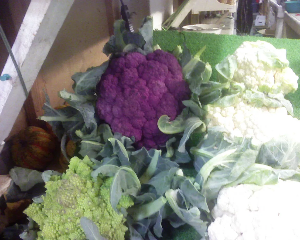 purple cauliflower