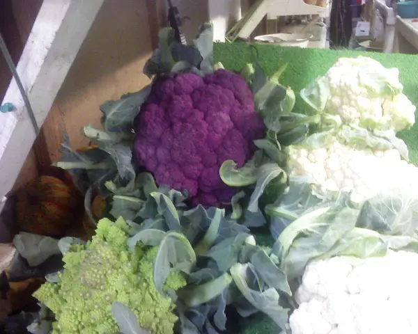 purple cauliflower