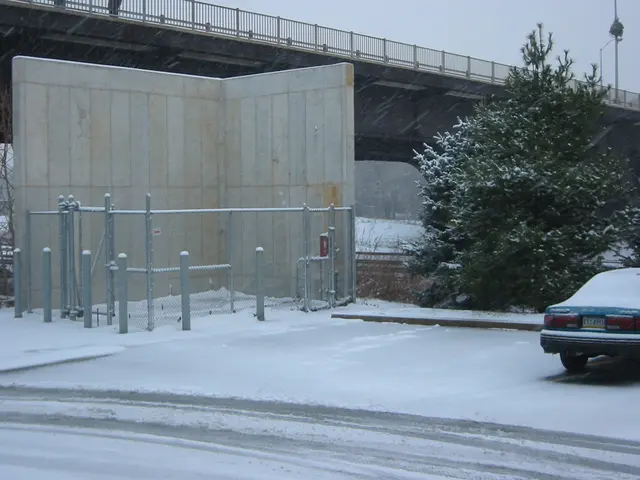 snowstorm, 2003-12, img_0994