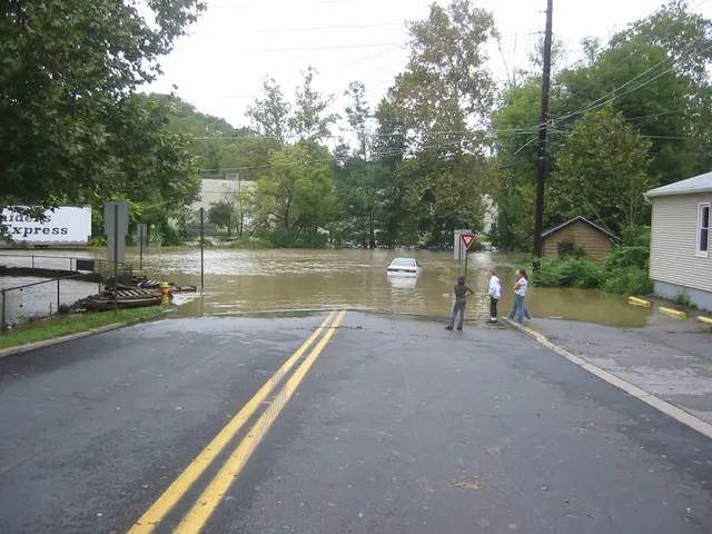 the flood, 2004, img_1847