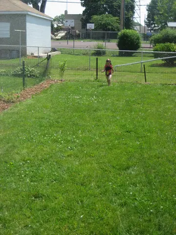 martha versus the hose