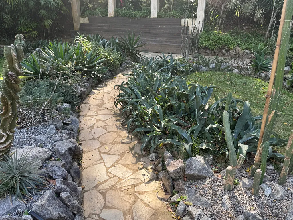 the Botanical Garden in Rio