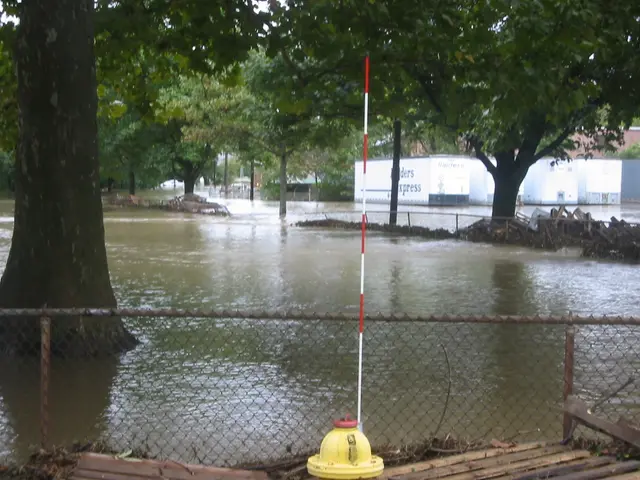 the flood, 2004, img_1851