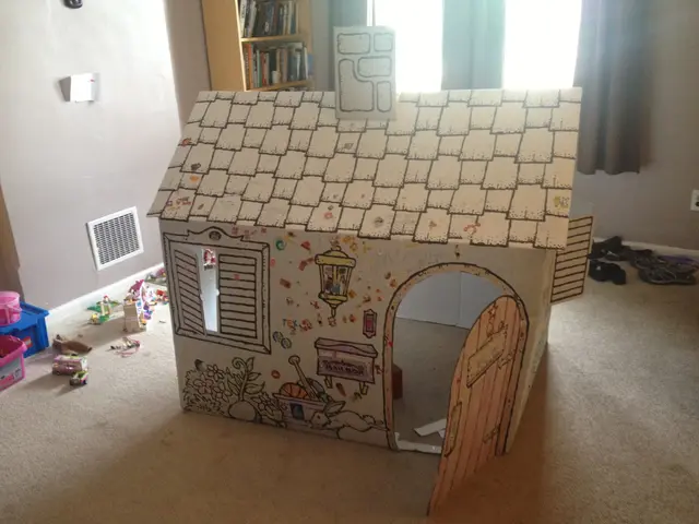 cardboard house, final picture