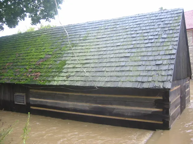 the flood, 2004, img_1826