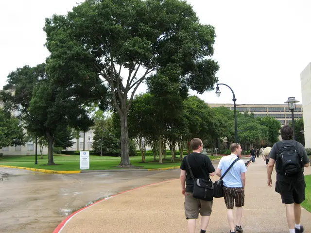 walking to lunch