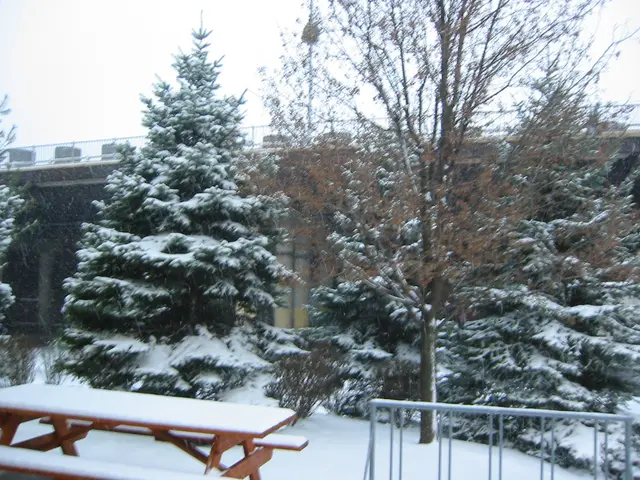snowstorm, 2003-12, img_0993