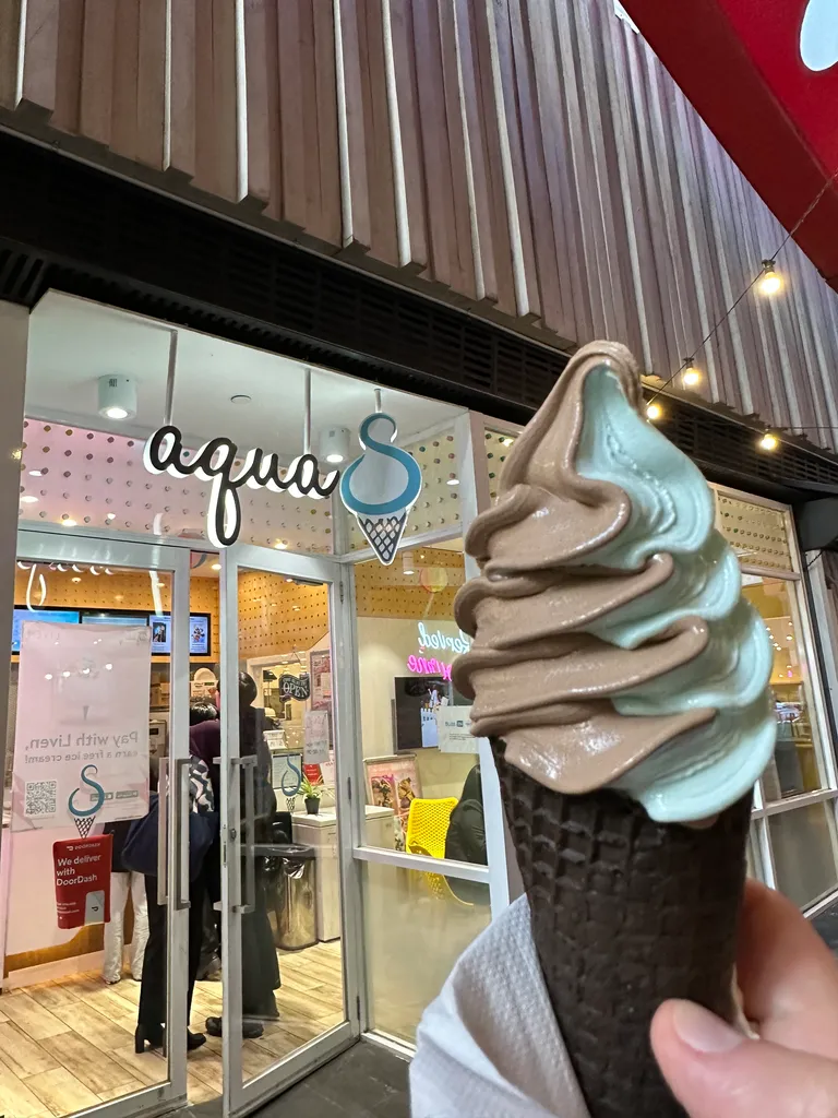 nutella and salt ice cream