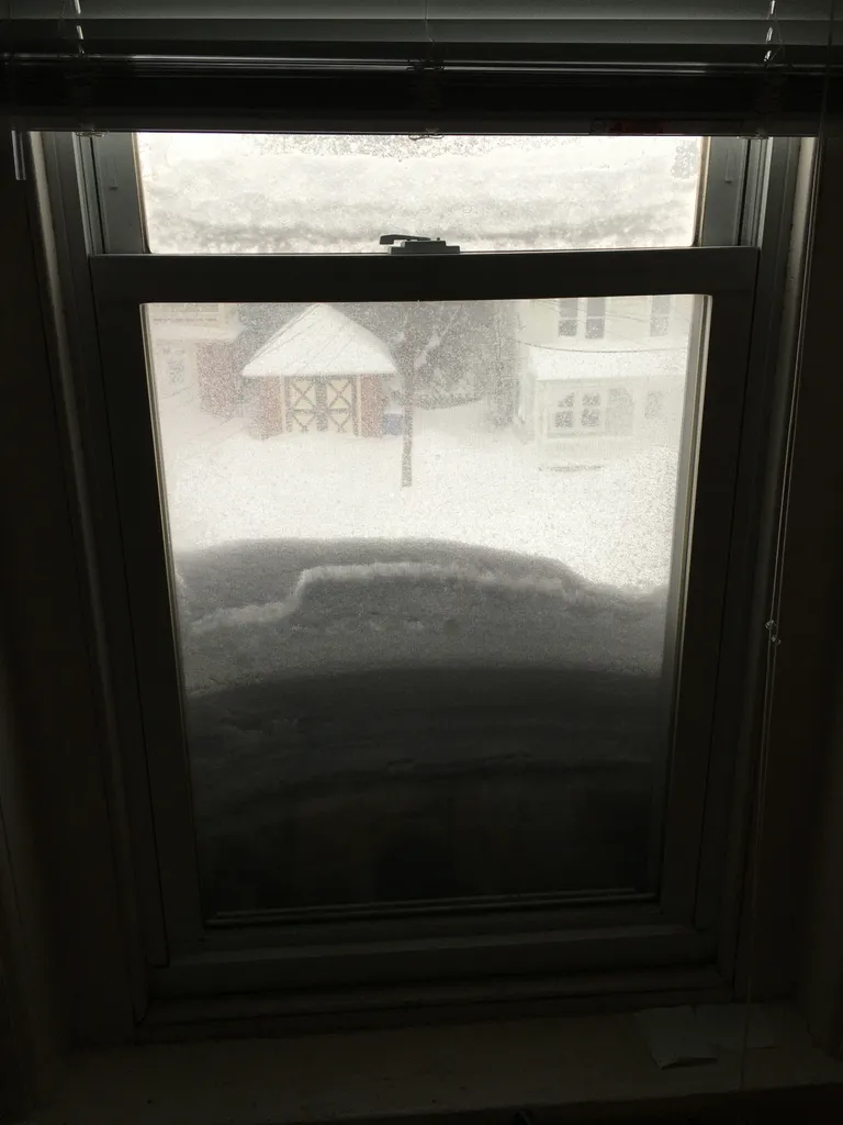 January 2016 snowstorm