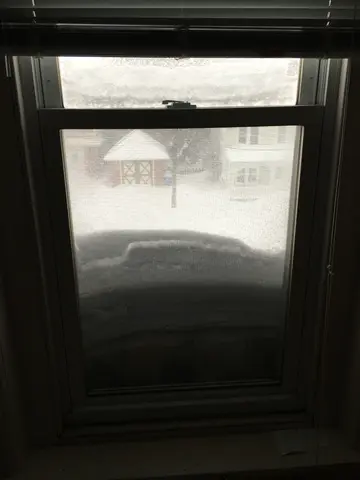 January 2016 snowstorm