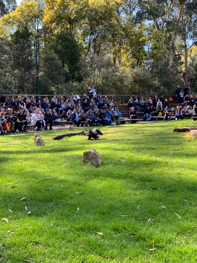 Healesville