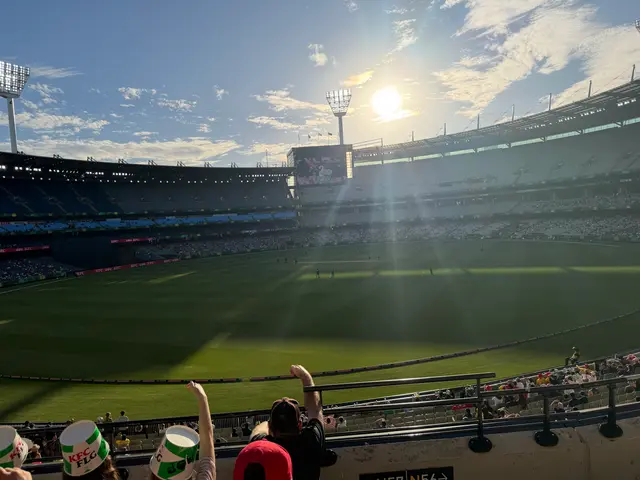 cricket (BBL, Stars v Canes)