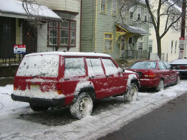 snowstorm, 2003-12, img_1009