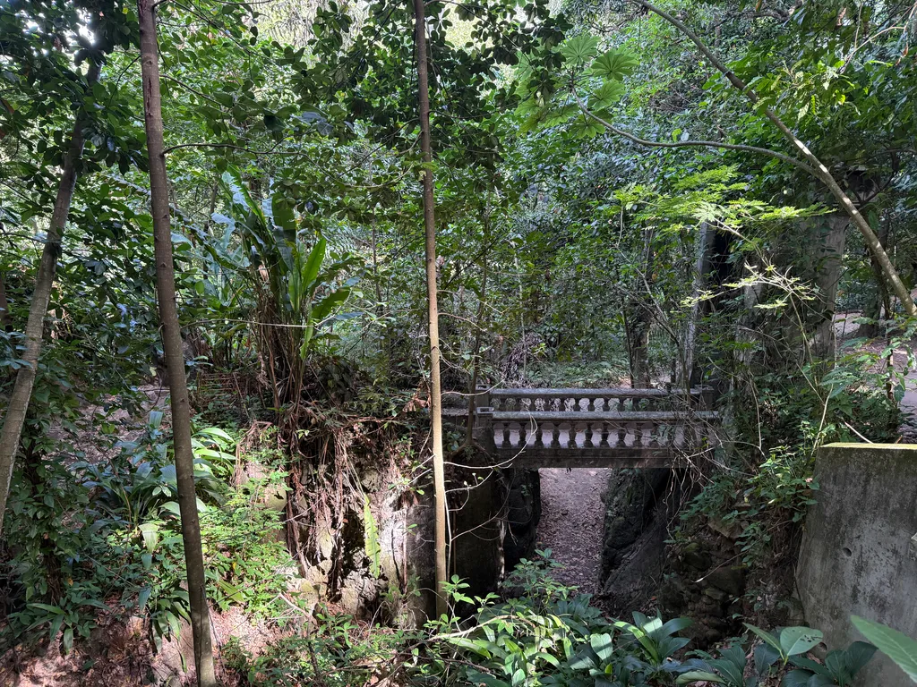 Parque Lage