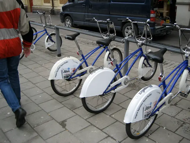 one of many bike fleets
