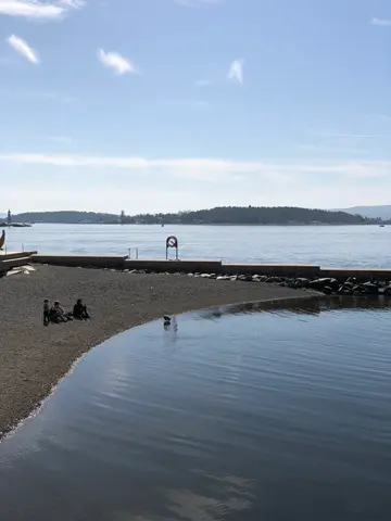 the Norwegian shore
