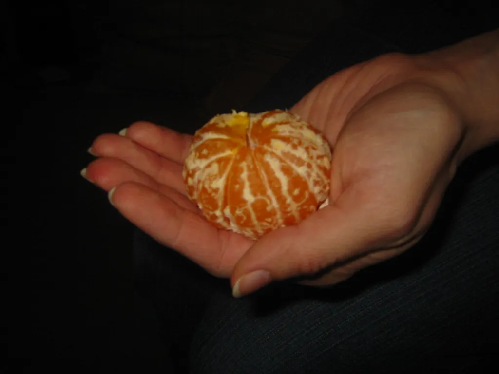 IMG_0026.JPG