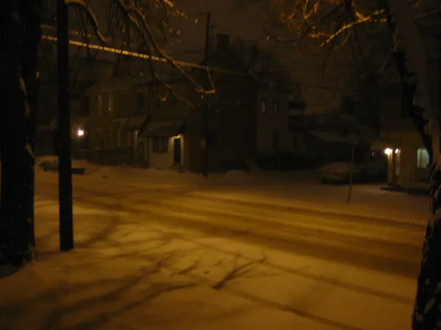 snowstorm, 2003-12, img_0995