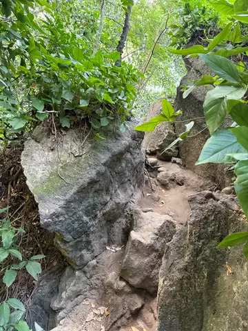 Parque Lage