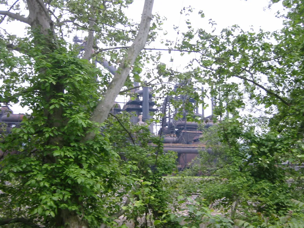 the steel, seen through the woods
