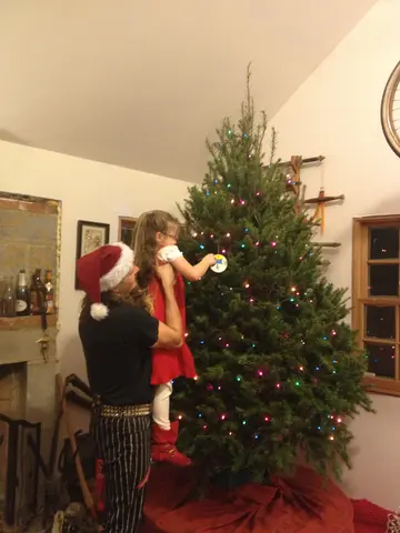 hanging the Ice King