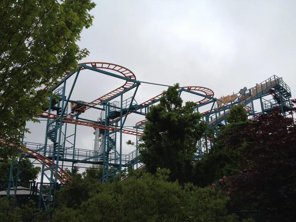 The Wild Mouse