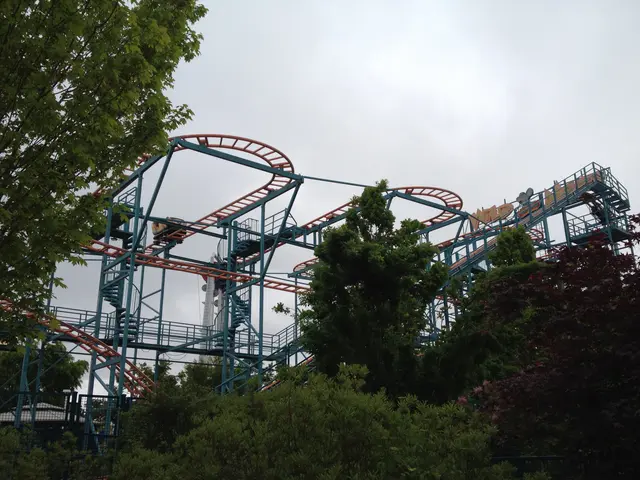 The Wild Mouse