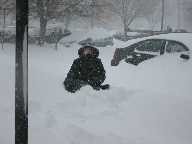 snowstorm, 2003-02, Gloria