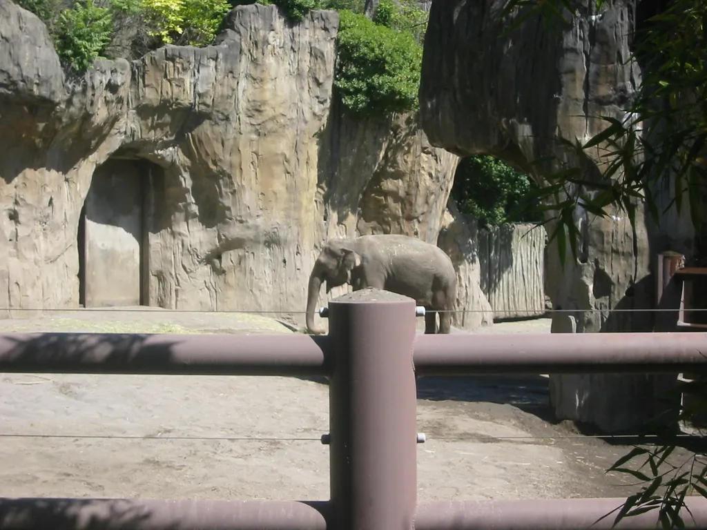 oscon 2003, elephant-1