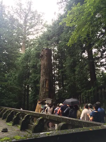 Nikko shrines and buildings