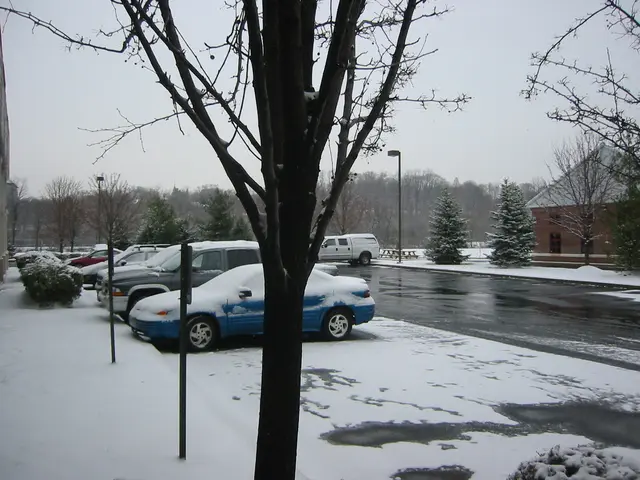 snowstorm, 2003-12, img_0989