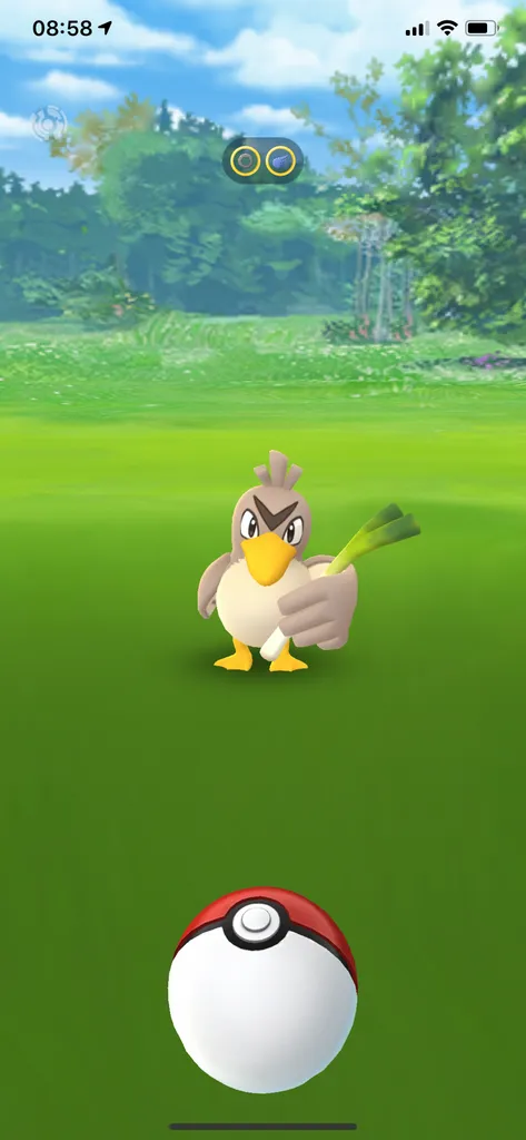IMG_6835