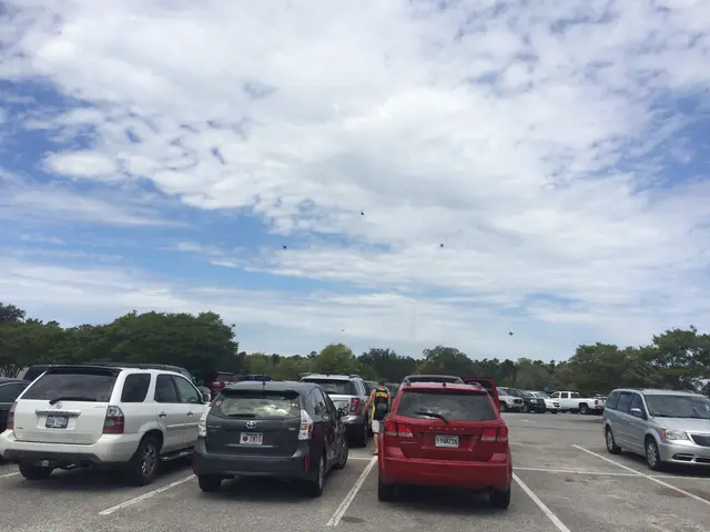 the blue angels!