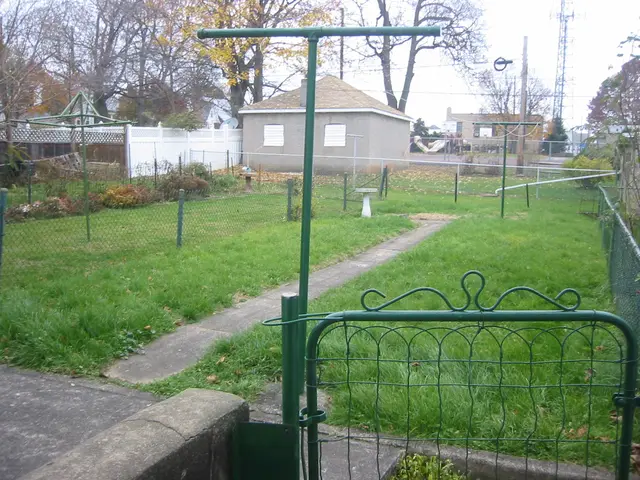 back yard, from the southwest