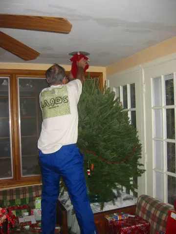 repairing the tree