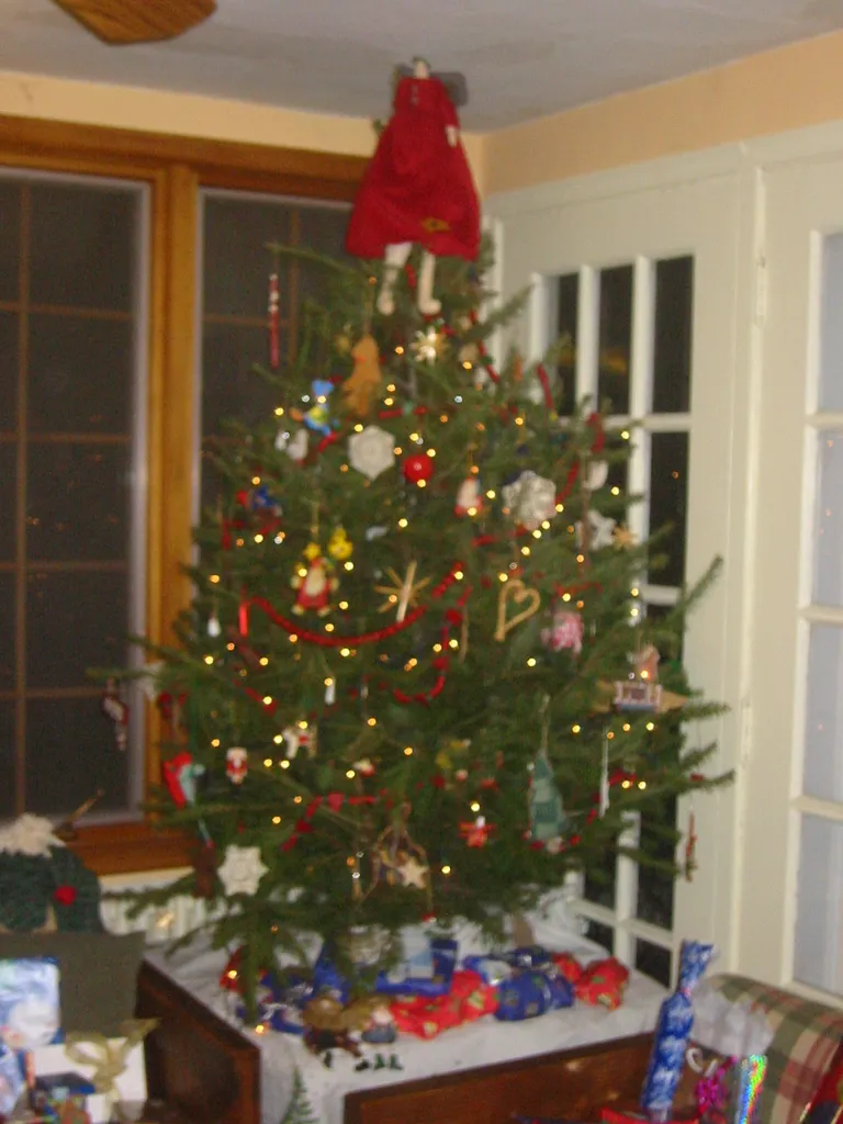 christmas, 2004, img_0008