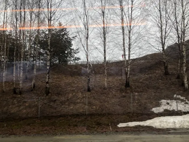 view from the train