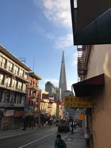 the pyramid