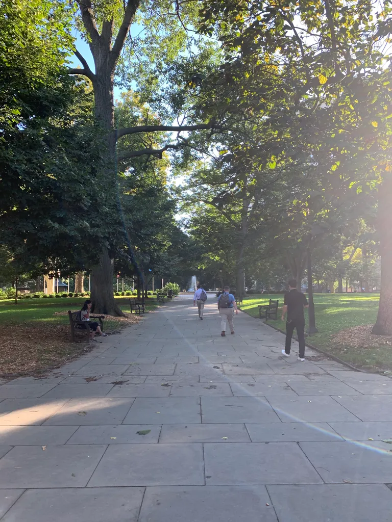 Washington square
