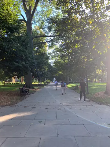 Washington square